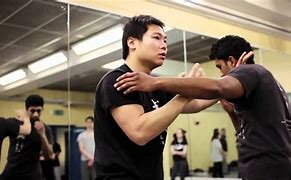 Image result for Leo Chinese Kung Fu