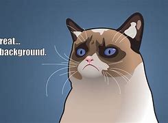 Image result for Funny Cat Sayings Desktop Wallpaper