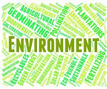 Image result for The Word Environment A4 Size