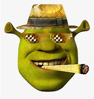 Image result for Best Shrek Memes