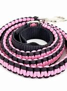 Image result for Unchewable Dog Leashes