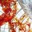 Image result for Dale Chihuly Glass Art