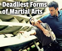 Image result for Most Dangerous Martial Arts