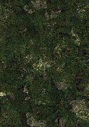 Image result for Texture Paint Map