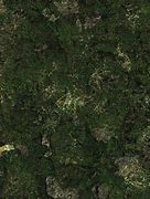 Image result for Ground Texture Map