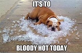 Image result for Too Hot Weather Memes