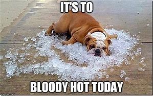 Image result for Funny Memes About Being to Hot This Week