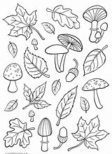 Image result for Simple Fall Coloring Pages