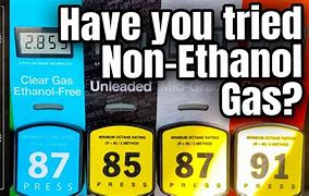 Image result for Qt Ethanol Free Gas