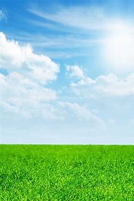 Image result for Blue and Green iPhone Background