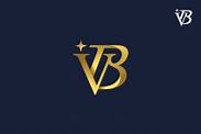 Image result for BV Investment Partners Logo