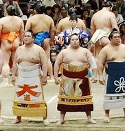 Image result for Short Sumo Wrestler