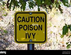 Image result for Poison Vines
