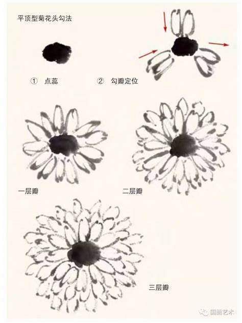菊花的样子描写19个字