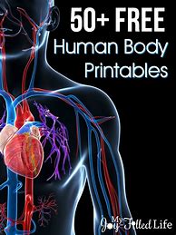 Image result for Free Human Body Printables