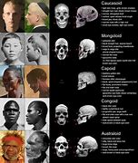 Image result for Skulls Race Meme