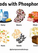 Image result for Foods with Phosphorus