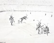 Image result for Playing Cricket On the Beach