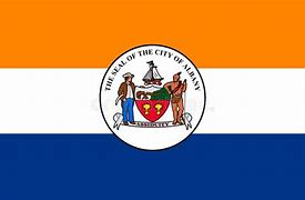 Image result for Albany Flag