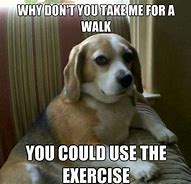 Image result for Dog Exercise Meme