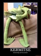 Image result for Dirty Kermit the Frog