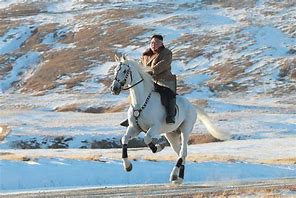 Image result for North Korea Horse