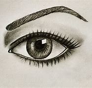 Image result for Drawn Eyes Simple