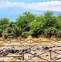 Image result for Giardini Naxos Beach