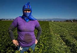 Image result for Migrant worker