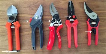 Image result for Pruners Types