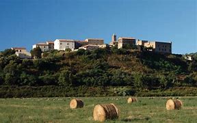 Image result for alzria