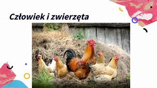 Image result for co_to_znaczy_zwierzęta