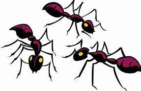 Image result for Ant Group Cartoon