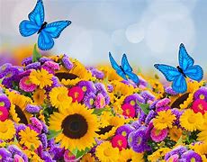 Image result for Spring Flowers with Butterflies
