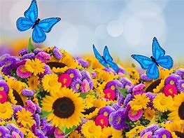 Image result for Summer Flowers and Butterflies