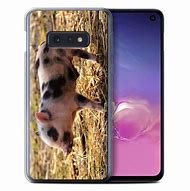 Image result for Pig Phone Case S10e