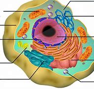 Image result for Battery Cell Drawing