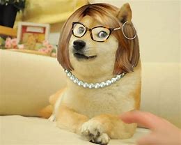 Image result for Doge Karen Memes