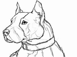 Image result for Cute Dog Sketches