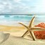 Image result for iPhone 12 Summer Wallpaper