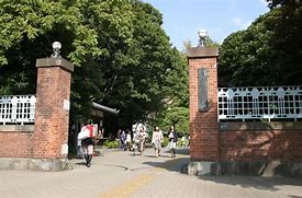 Image result for Tokyo University for Art