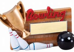 Image result for Bowling Champion