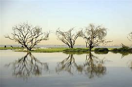 Image result for Sudan Scenery