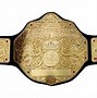 Image result for Wrestling Belts