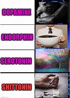 Image result for Endorphins Expanding Meme