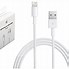 Image result for iPhone X Original Charger