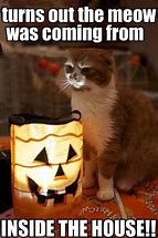 Image result for Halloween Animal Memes