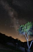 Image result for What Does the Milky Way Look Like with Light Pollution