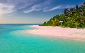 Image result for palm beach, fl