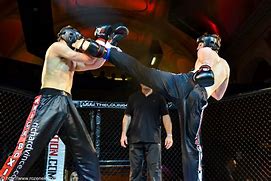 Image result for MMA Cage Fighting